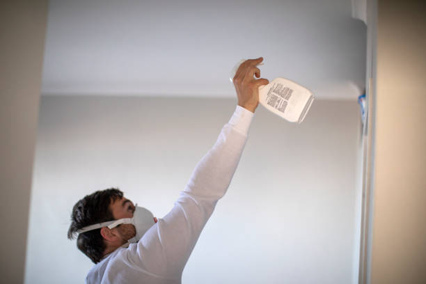 Best Insurance-Related Mold Remediation in Panther Valley, NJ